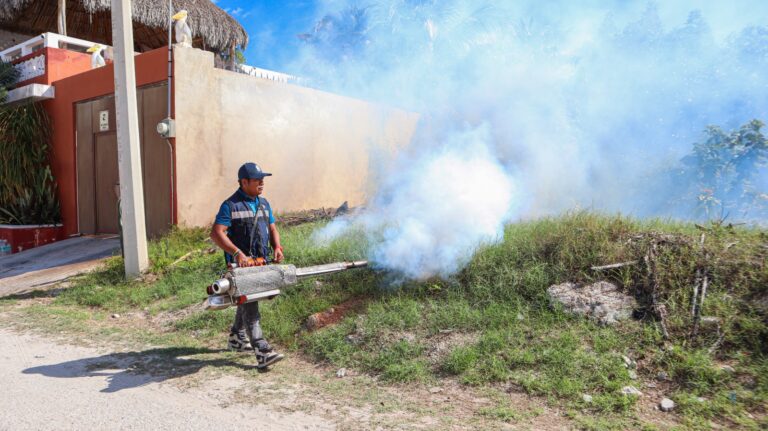 PROGRESO | ¡ADIÓS, MOSQUITO! PROGRESO INTENSIFICA SU LUCHA CONTRA LAS ENFERMEDADES TRANSMITIDAS POR INSECTOS.