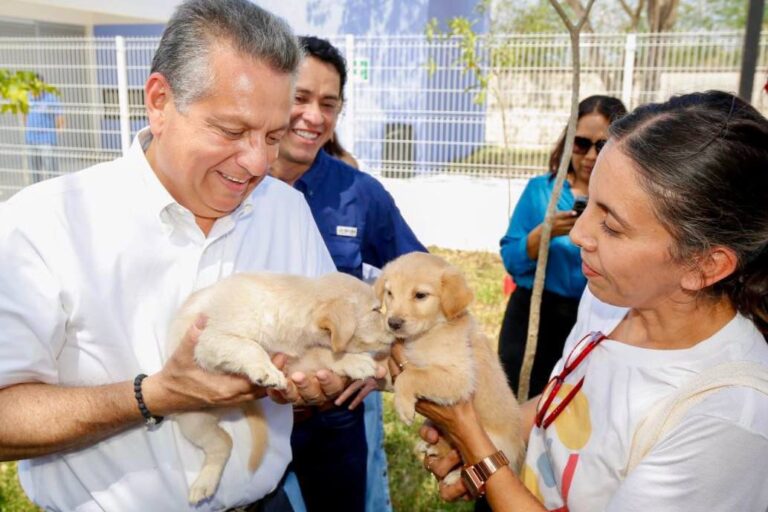 MÉRIDA | El Ayuntamiento de Mérida promueve el cuidado y tenencia responsable de los animales de compañía