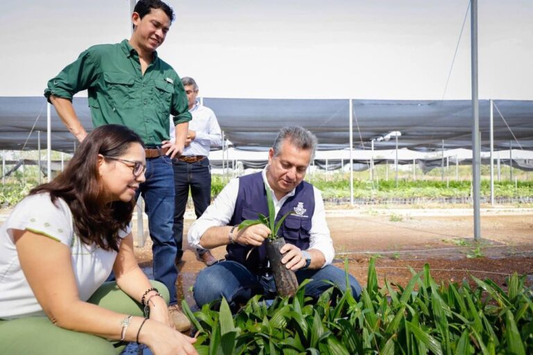 MÉRIDA | El Ayuntamiento promueve acciones a favor del medio ambiente y del combate al cambio climático.