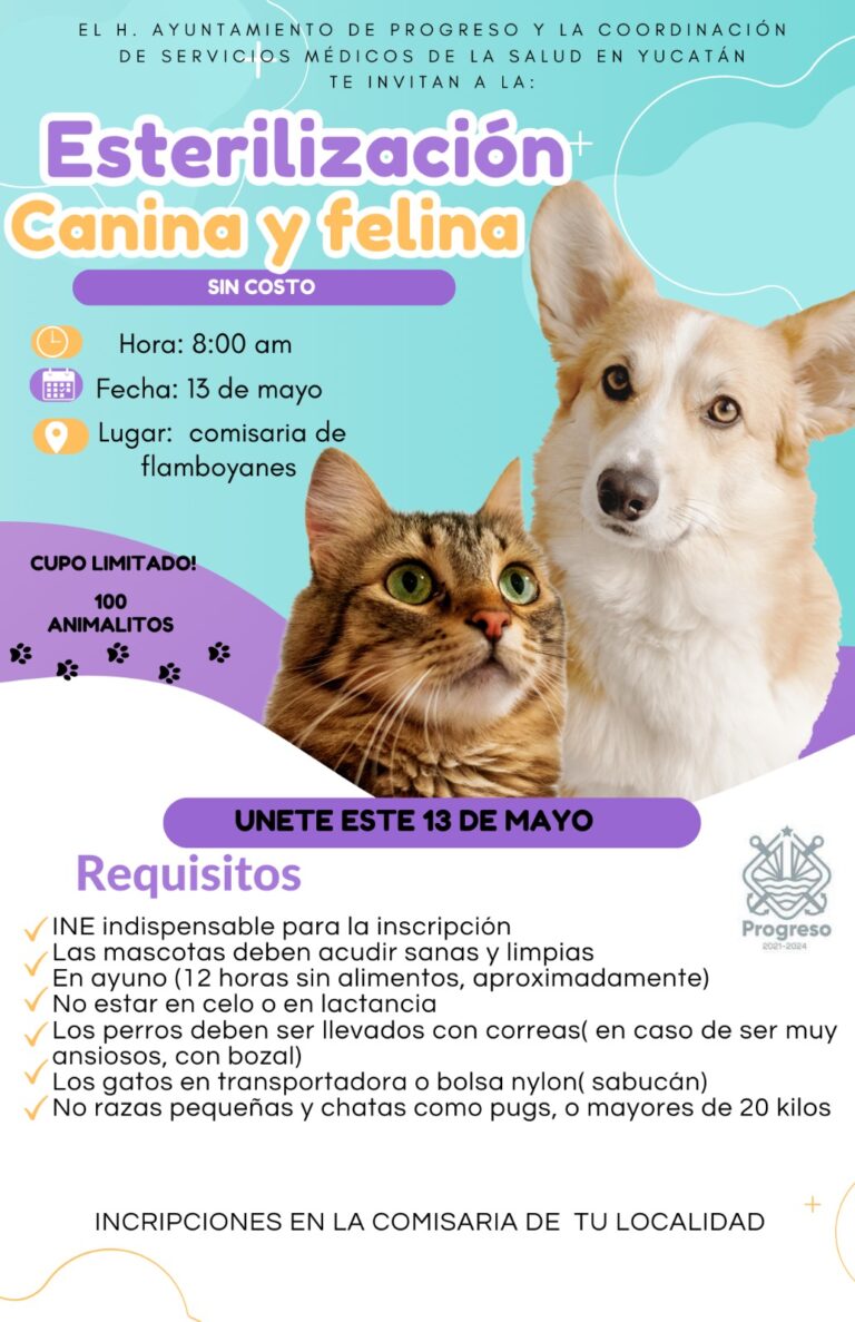 PROGRESO | HABRÁ JORNADA DE ESTERILIZACIÓN CANINA Y FELINA SIN COSTO EN FLAMBOYANES