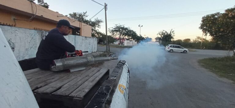 PROGRESO | AYUNTAMIENTO DE PROGRESO NO BAJA LA GUARDIA EN EL TEMA DE LA FUMIGACIÓN