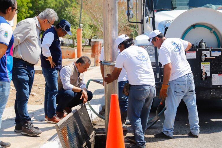 MÉRIDA | El Ayuntamiento fortalece el mantenimiento integral de los espacios públicos del Municipio