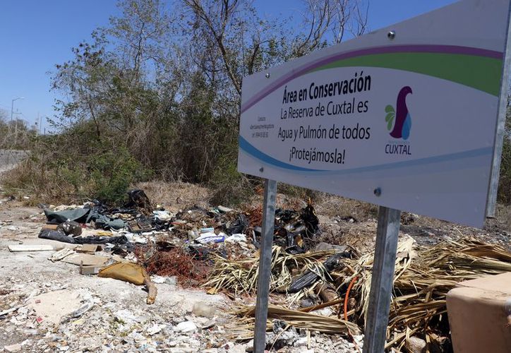 MÉRIDA | Confirman denuncia contra deforestación en Cuxtal