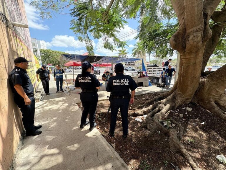MÉRIDA | #NO TENÍAN #PERMISO – AyuntaMÉRIDA retira puestos de comida que no tenían permiso y usaban ilegalmente la vía pública